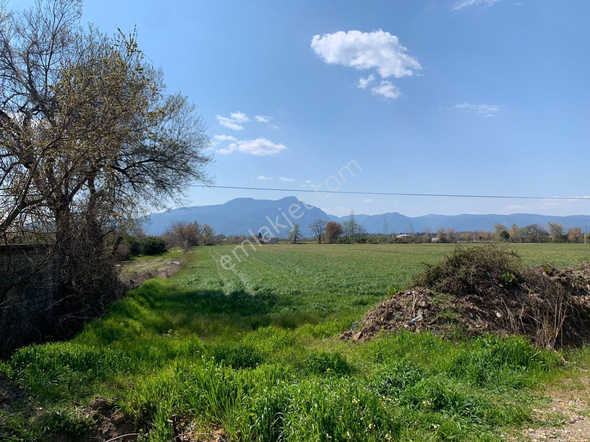 Ortaca Tepearasında 15220 M2 Tarla Satılık - Görsel 3