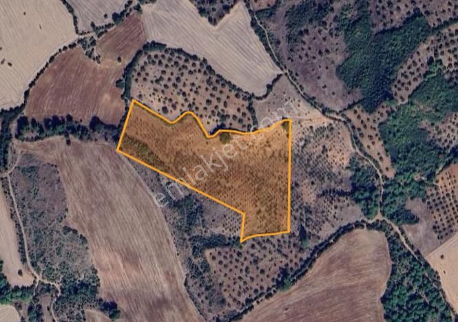 Çanakkale Bayramiç'te Yatırımlık Tarla Satışta! - Görsel 8