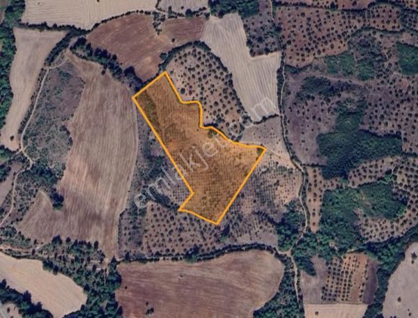 Çanakkale Bayramiç'te Yatırımlık Tarla Satışta! - Görsel 9