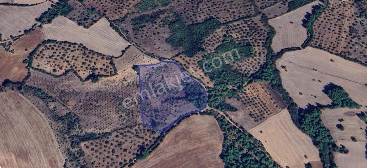 Çanakkale Bayramiç'te Yatırımlık Tarla Satışta! - Görsel 6