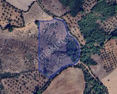 Çanakkale Bayramiç'te Yatırımlık Tarla Satışta! - Görsel 7