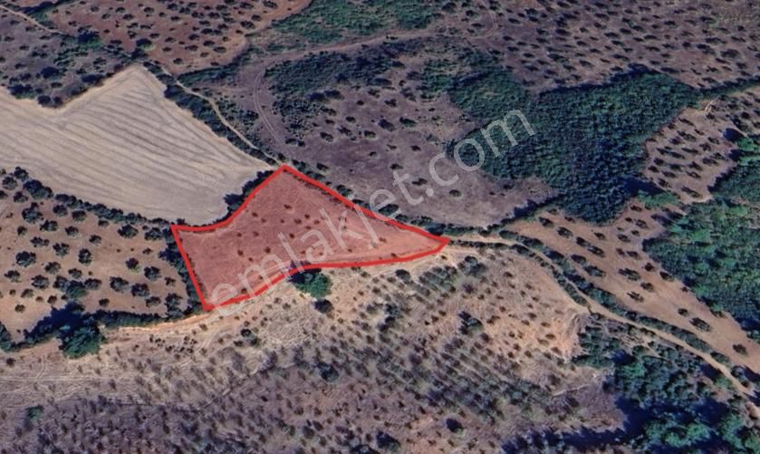 Çanakkale Bayramiç'te Yatırımlık Tarla Satışta! - Görsel 4