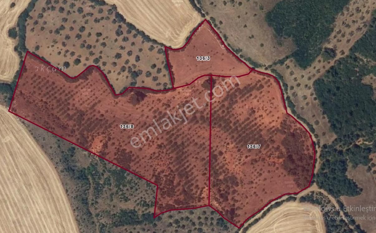 Çanakkale Bayramiç'te Yatırımlık Tarla Satışta!