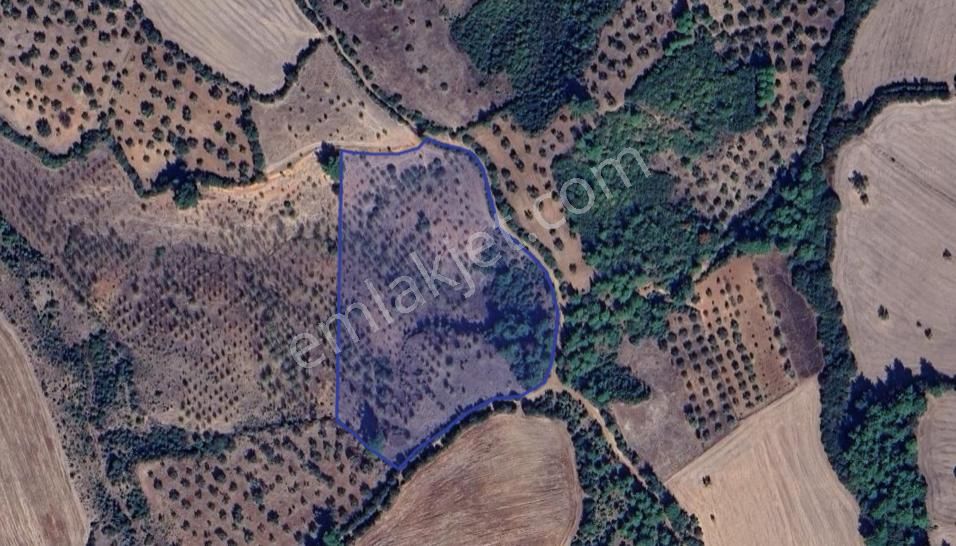 Çanakkale Bayramiç'te Yatırımlık Tarla Satışta! - Görsel 5