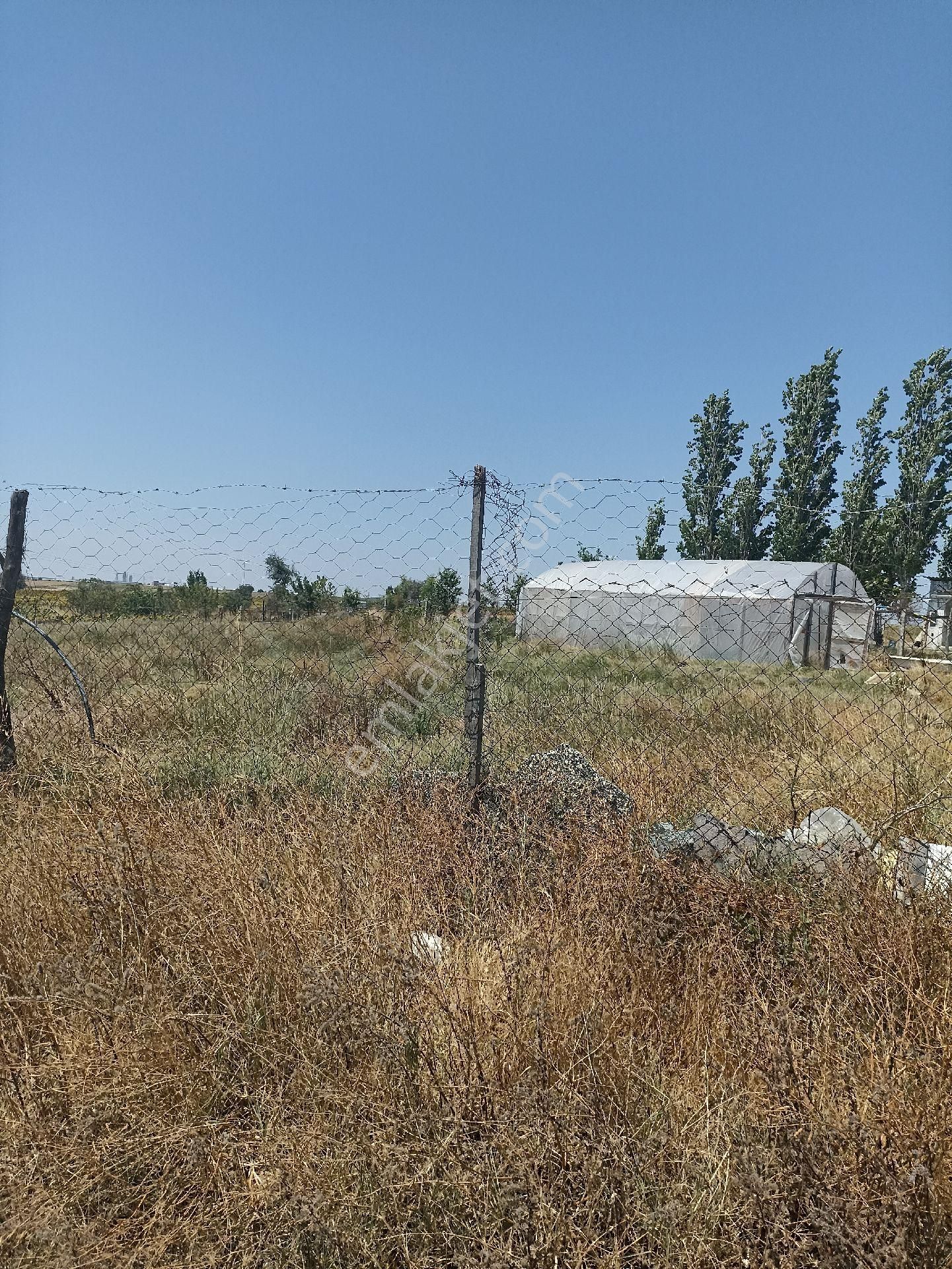 Tuşba Emlaktan Satılık Etrafı Tel Örgü Yola Cepe 2565mt Tarla
