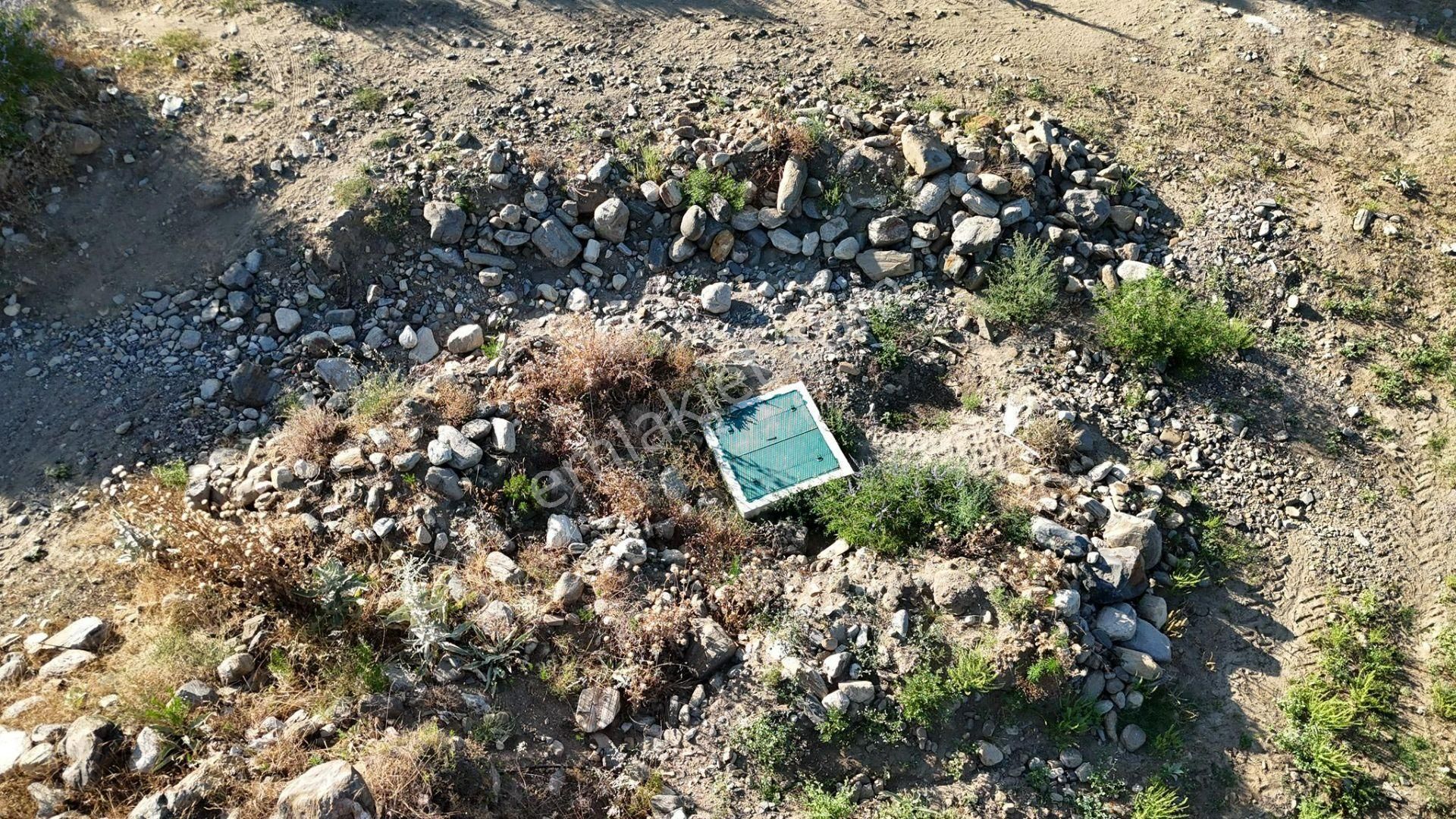 Karacasu Çamköyde Satılık 23 Dönüm Zeytinlik Ve Taş Ev - Görsel 14