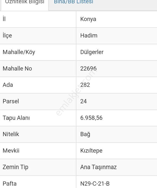 Sahibinden Şelale'ye Yakın 7 Dönüm Fırsat Bağ Arazisi - Görsel 4