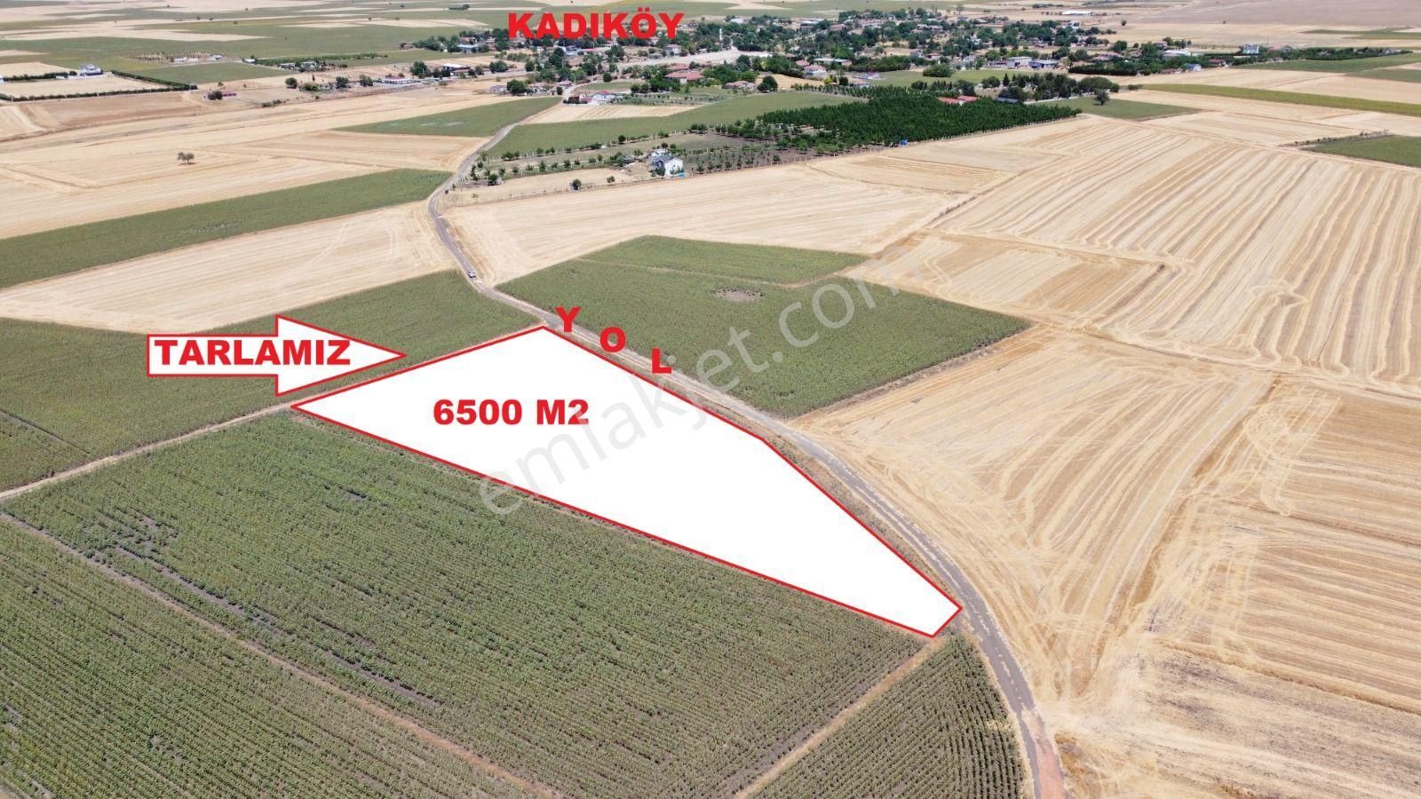 Tekirdağ Saray Kadıköy De Satılık 6501 M2 Tarla