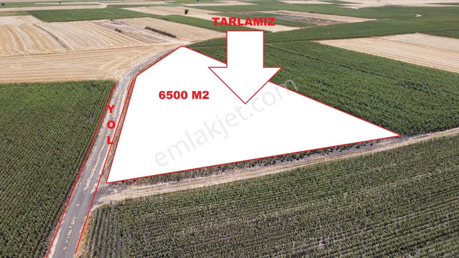 Tekirdağ Saray Kadıköy De Satılık 6501 M2 Tarla - Görsel 2