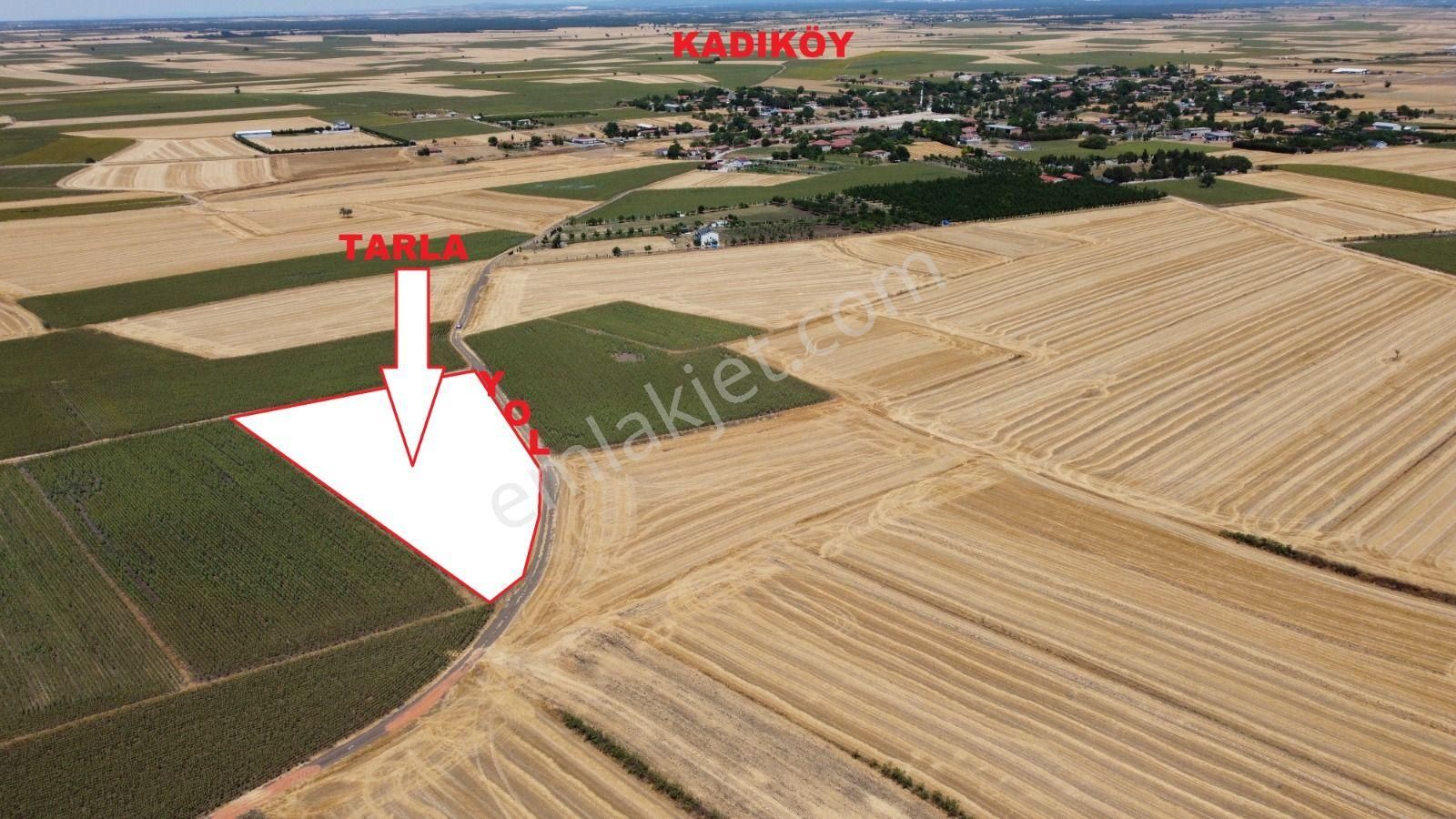 Tekirdağ Saray Kadıköy De Satılık 6501 M2 Tarla - Görsel 3