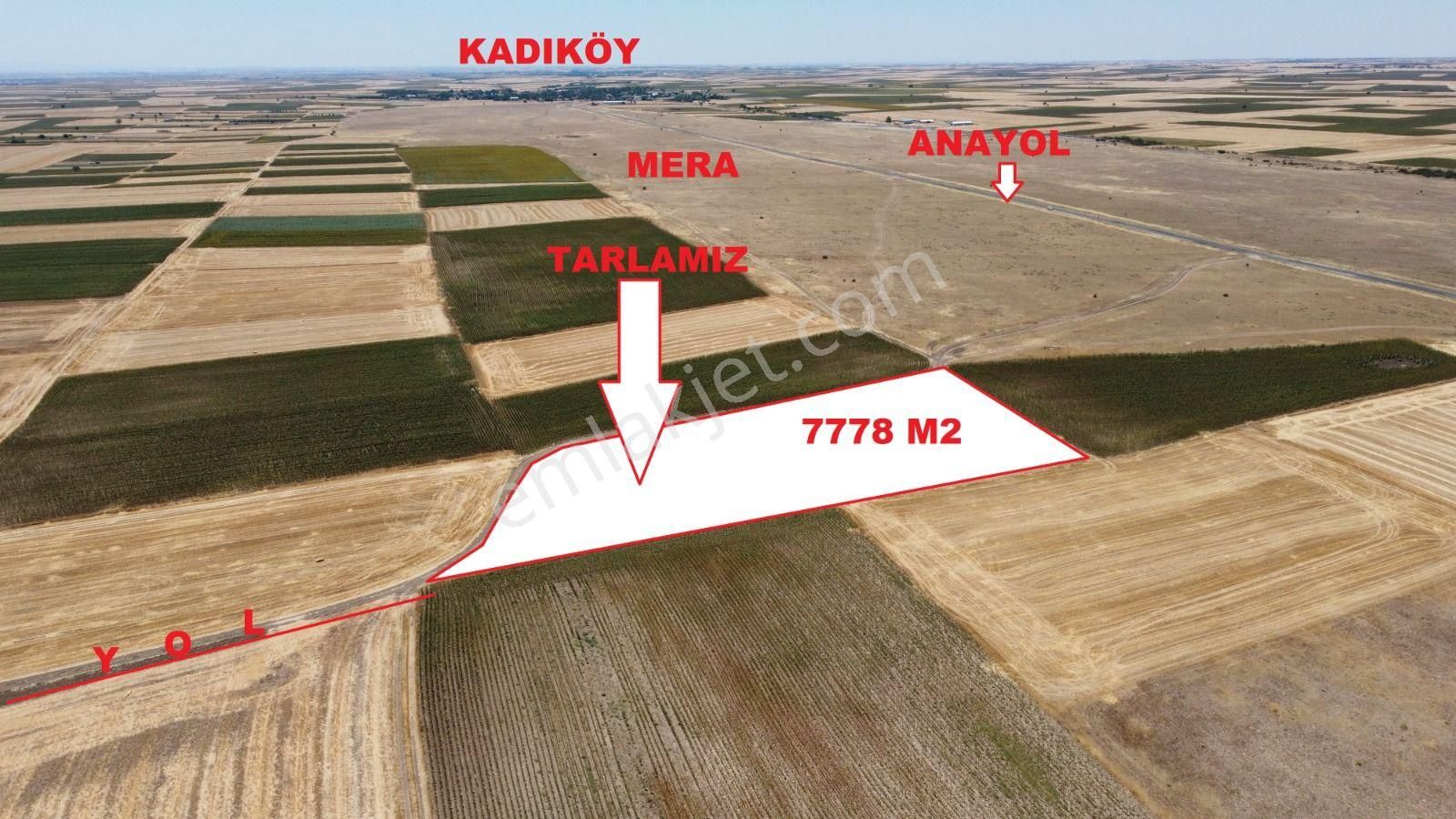 Tekirdağ Saray Kadıköy De Satılık Mera Cepe 7778 M2 Tarla