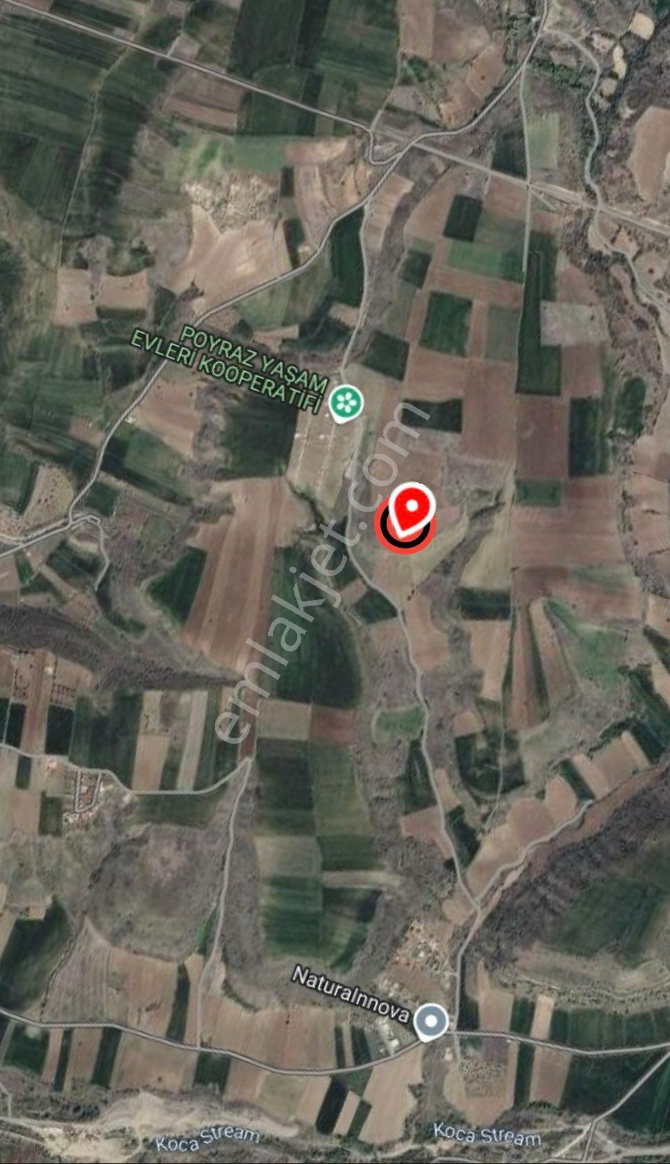 Tek Tapu Acil Satılık 1.894 M²