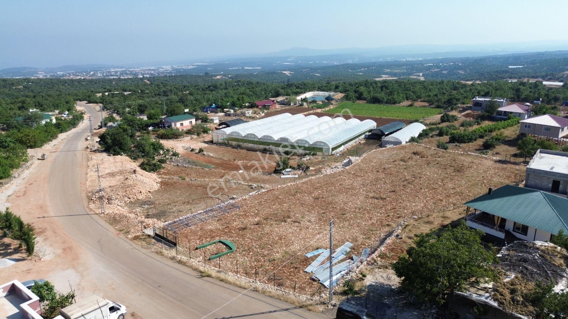Erdemli Köserelli Mahallesinde 4 Adet Villa İmarlı Arsa... - Görsel 3