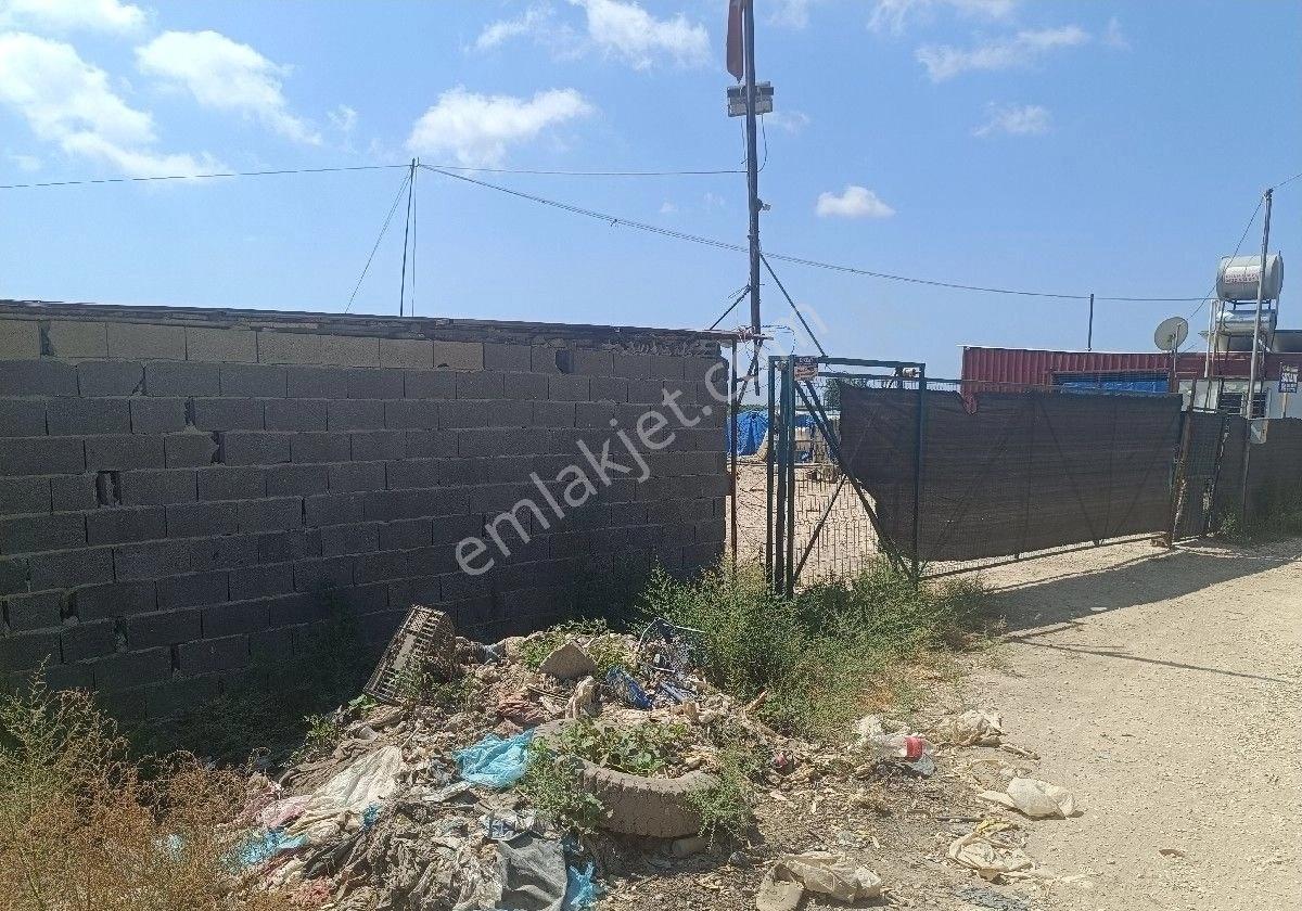 Egemen Köyünde Satılık Arazi - Görsel 5