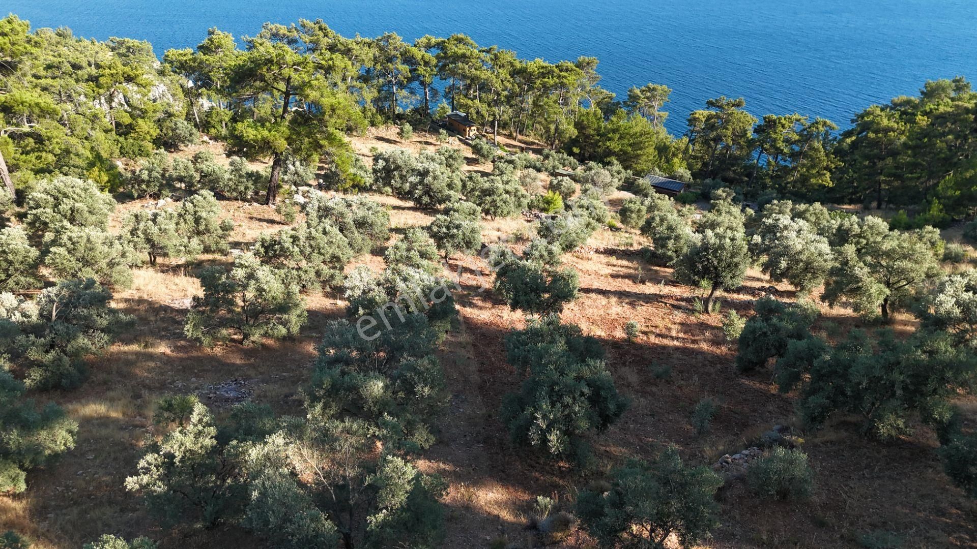 Muğla Akyaka Akbük'te Muhteşem Manzarası İle Satılık Arsa