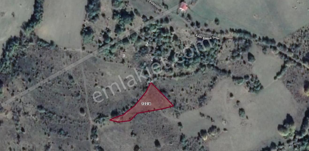 Kastamonu Ağlı Selmanlı Köyünde 1786 M² Tarlamız Satılıktır.