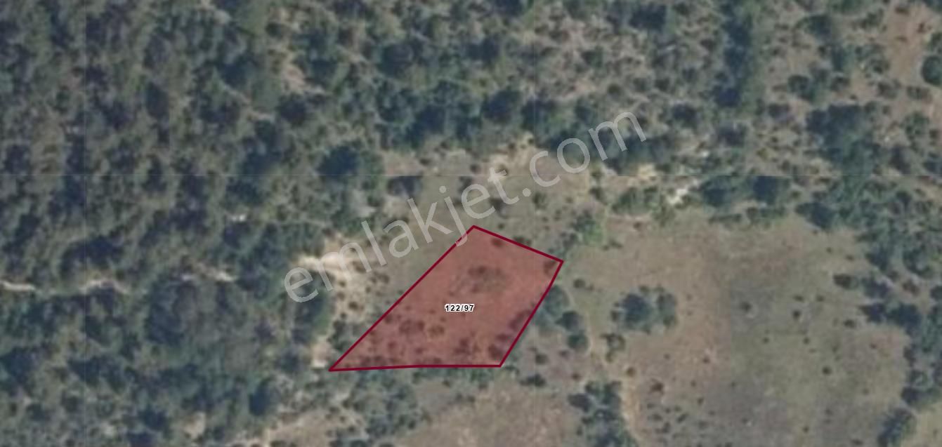 Kastamonu Araç Saltuklu Köyünde 1137 M² Tarlamız Satılıktır.