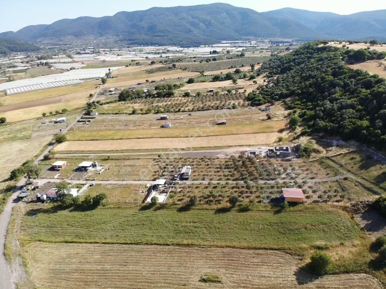 Değirmendere Köyünde; Elektrik/su Alt Yapısı Hazır - Tel Örgüsü Çekili Oturuma Hazır Satılık Bahçe - Görsel 7