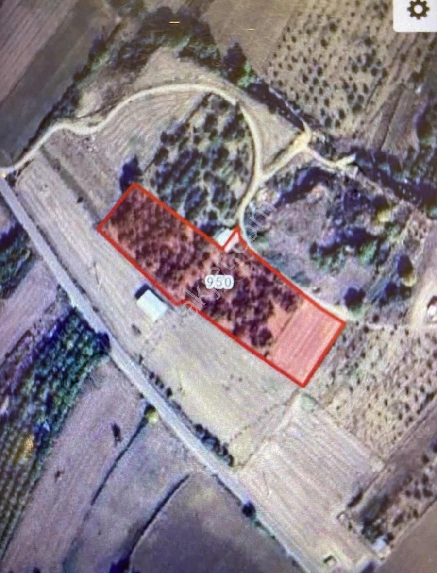Podyum Gayrimenkul'den Yalıntaş Asfalt Kadastro Yolu Olan Tarla