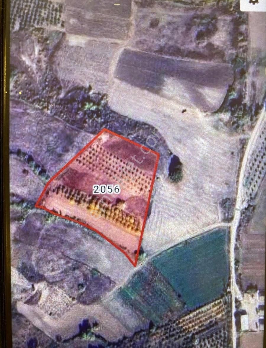 Podyum Gayrimenkul'den Yalıntaş Gölet Yol Kocayatak Mevkii Tarla