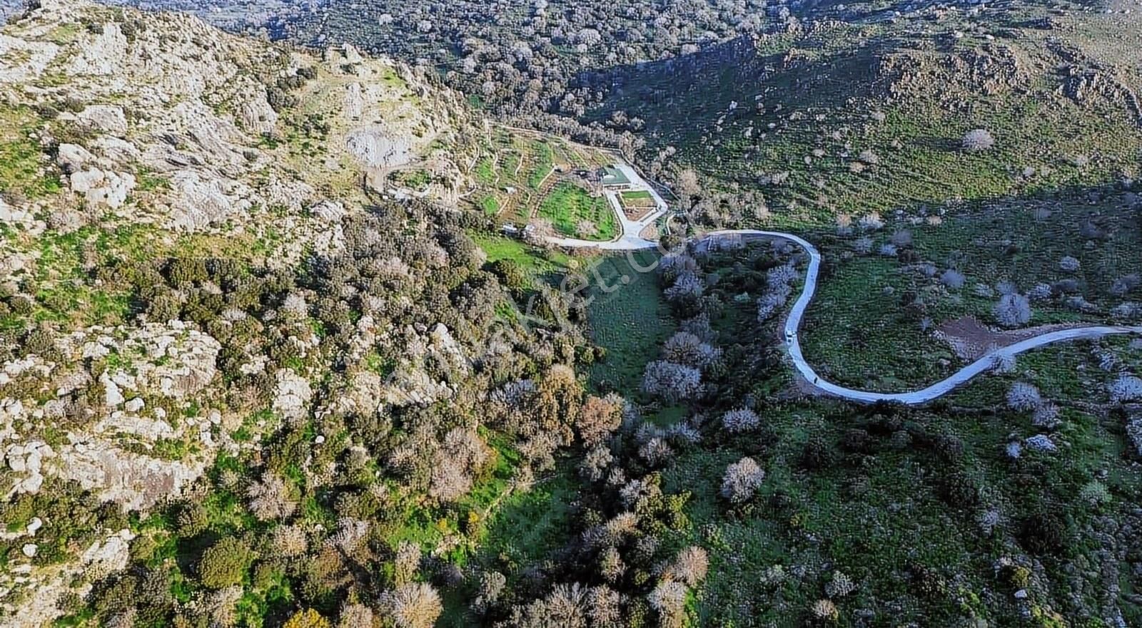 Bodrum Turgutreis'te Doğa İle İç İçe Yatırımlık Tarla - Görsel 8