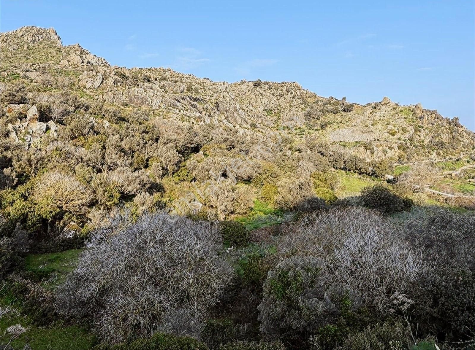 Bodrum Turgutreis'te Doğa İle İç İçe Yatırımlık Tarla - Görsel 9