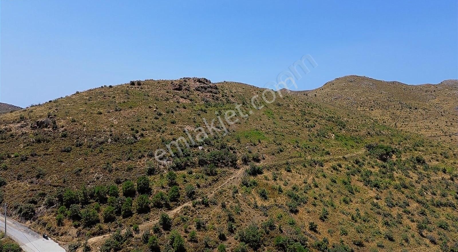 Bodrum Dereköy'de Şehir Ve Doğa Manzaralı Yatırımlık Tarla - Görsel 7