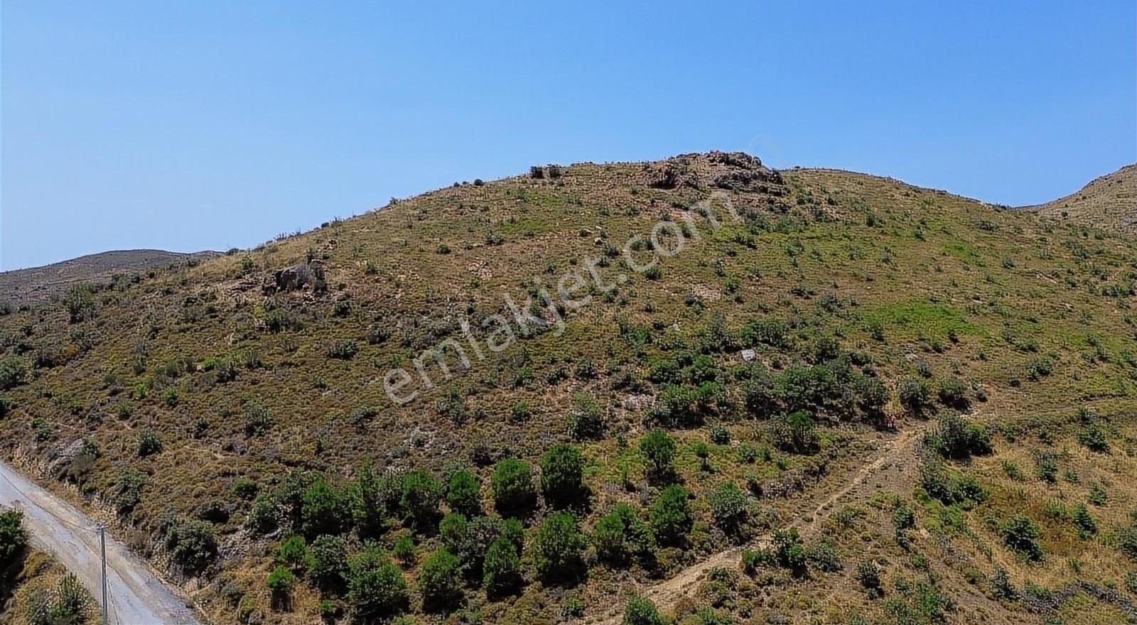 Bodrum Dereköy'de Şehir Ve Doğa Manzaralı Yatırımlık Tarla - Görsel 4