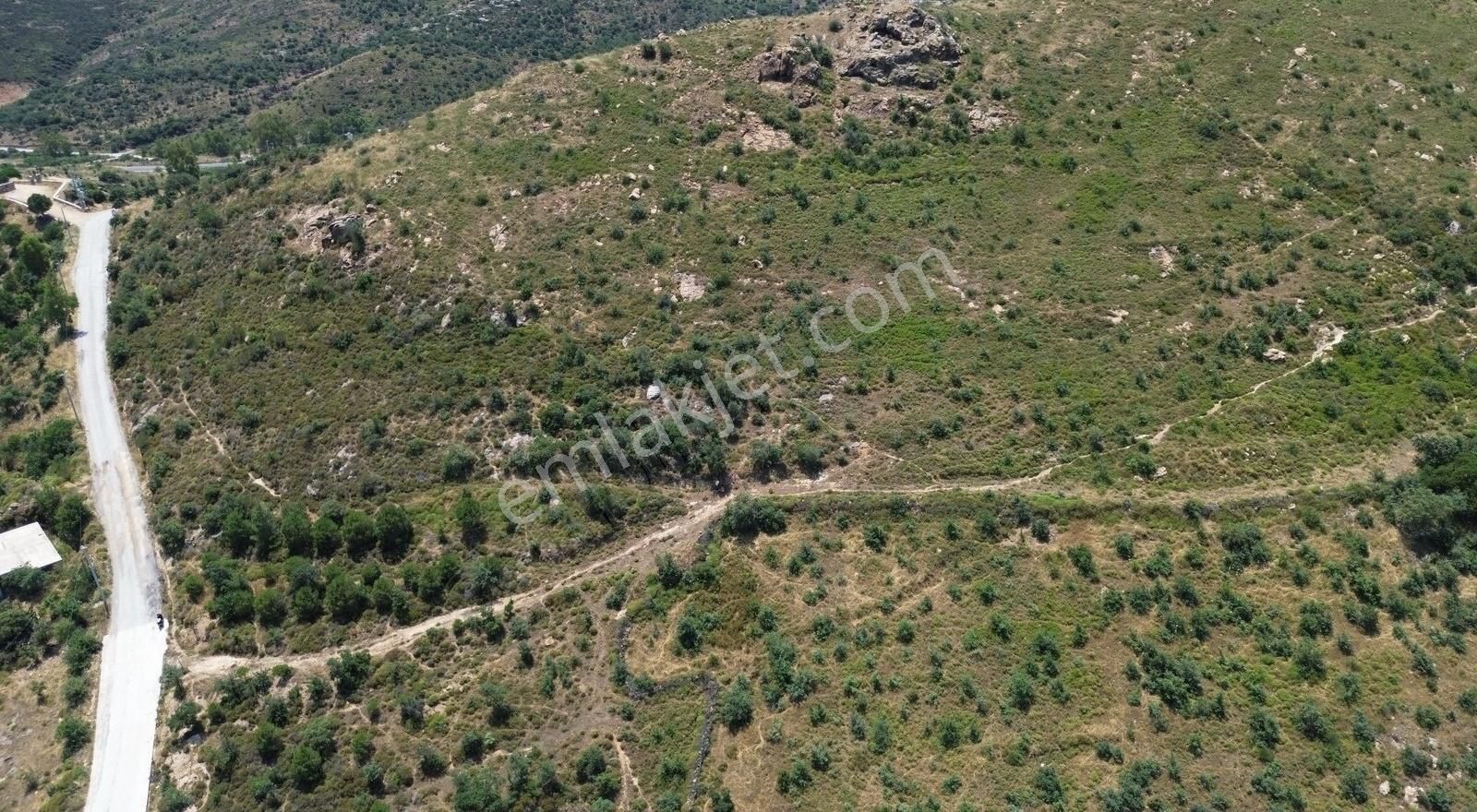 Bodrum Dereköy'de Şehir Ve Doğa Manzaralı Yatırımlık Tarla - Görsel 5