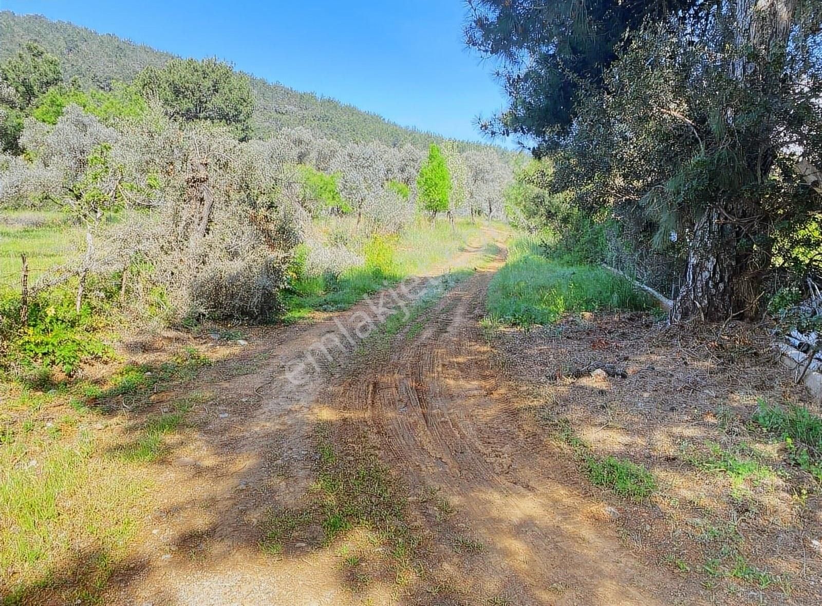 Bodrum Kızılağaç'ta Yola Sıfır İmarlı Müstakil Tarla - Görsel 3