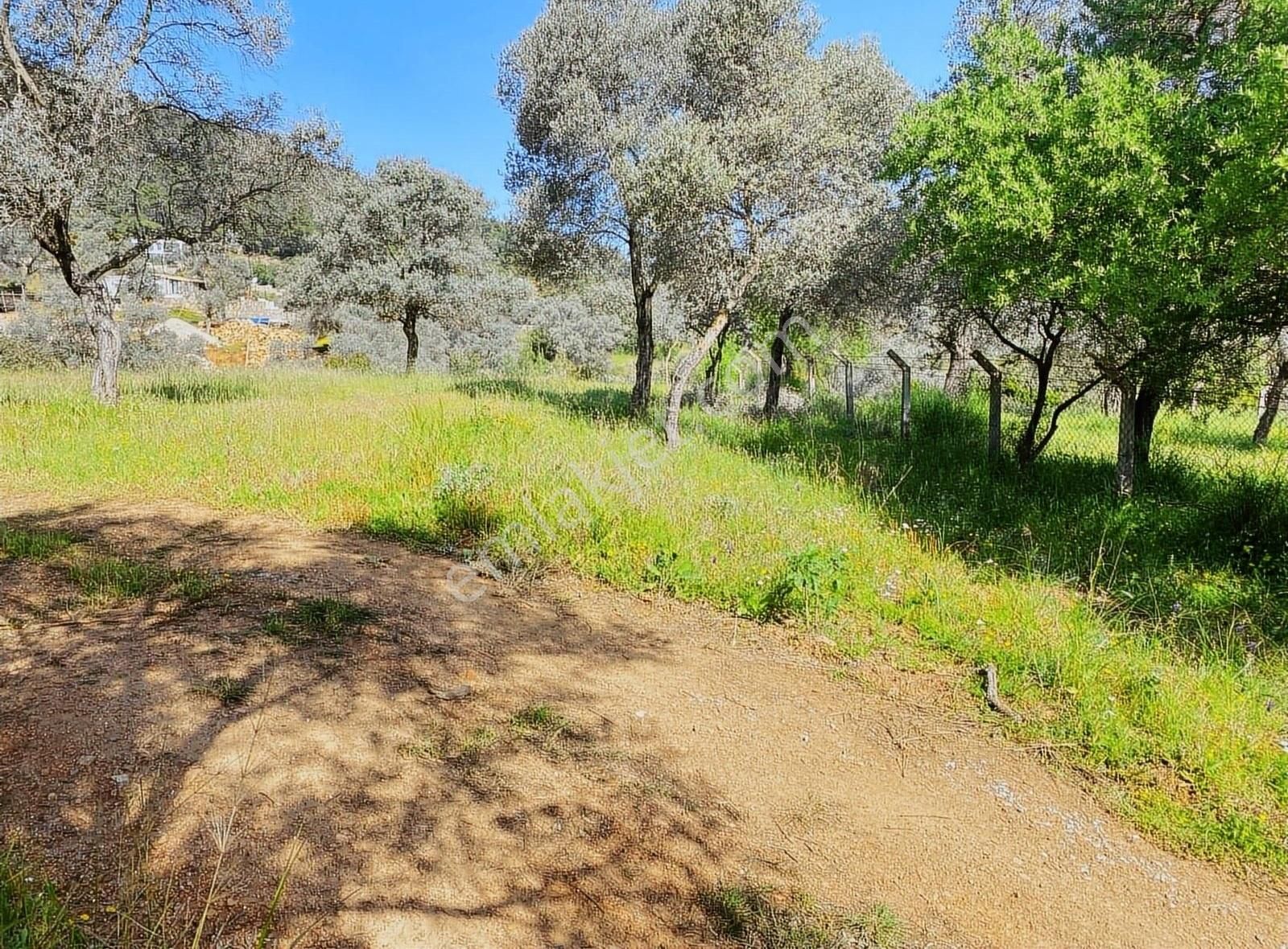 Bodrum Kızılağaç'ta Yola Sıfır İmarlı Müstakil Tarla - Görsel 5