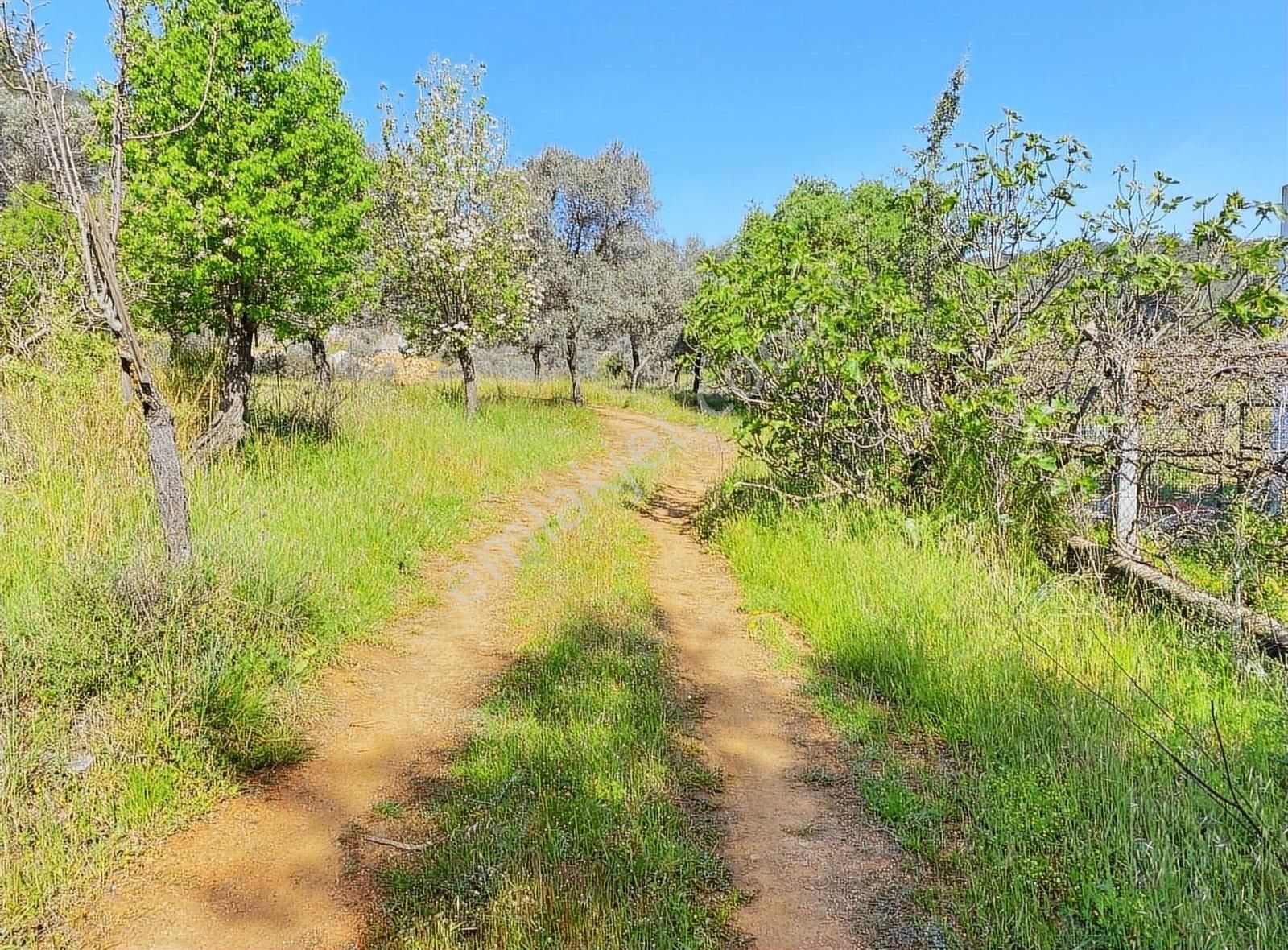 Bodrum Kızılağaç'ta Yola Sıfır İmarlı Müstakil Tarla - Görsel 4