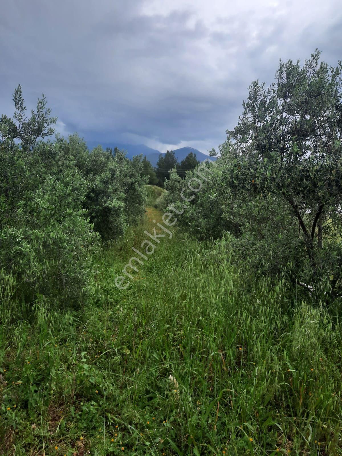 Kaş Kınık'ta Satılık Arazi - Görsel 6