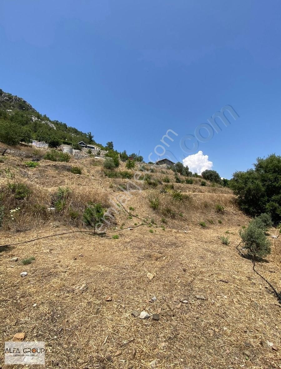 Çamlıcada Kurulu Düzen 2.400m² Parsel - Görsel 21