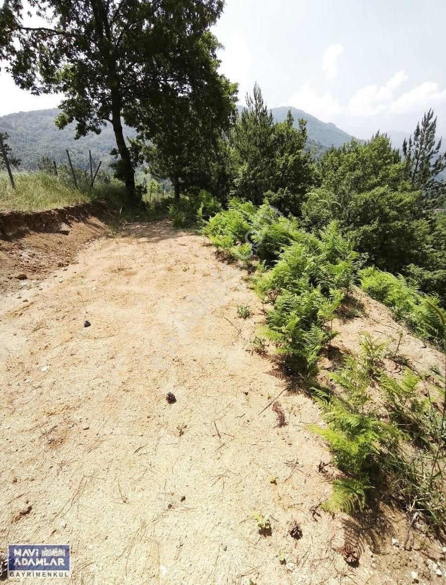 Bursa Keles Küçük Deliller Köyünde 912 M2 Satılık Tarla