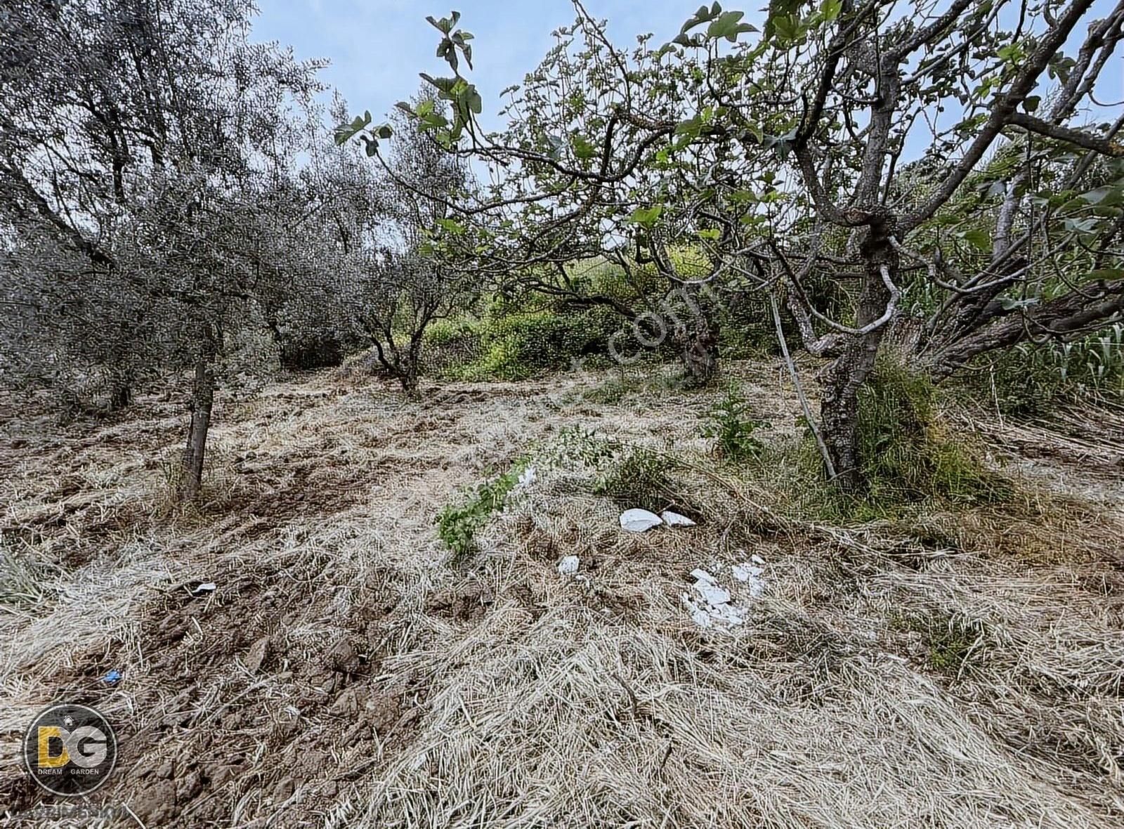 Bursa Osmangazi Armutköy Satılık Hobi Bahçeleri - Görsel 10