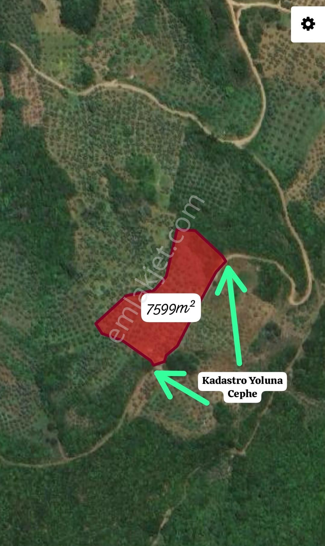 Mudanya, Kumyaka'da Kadastro Yoluna Cephe Yatırımlık Arazi