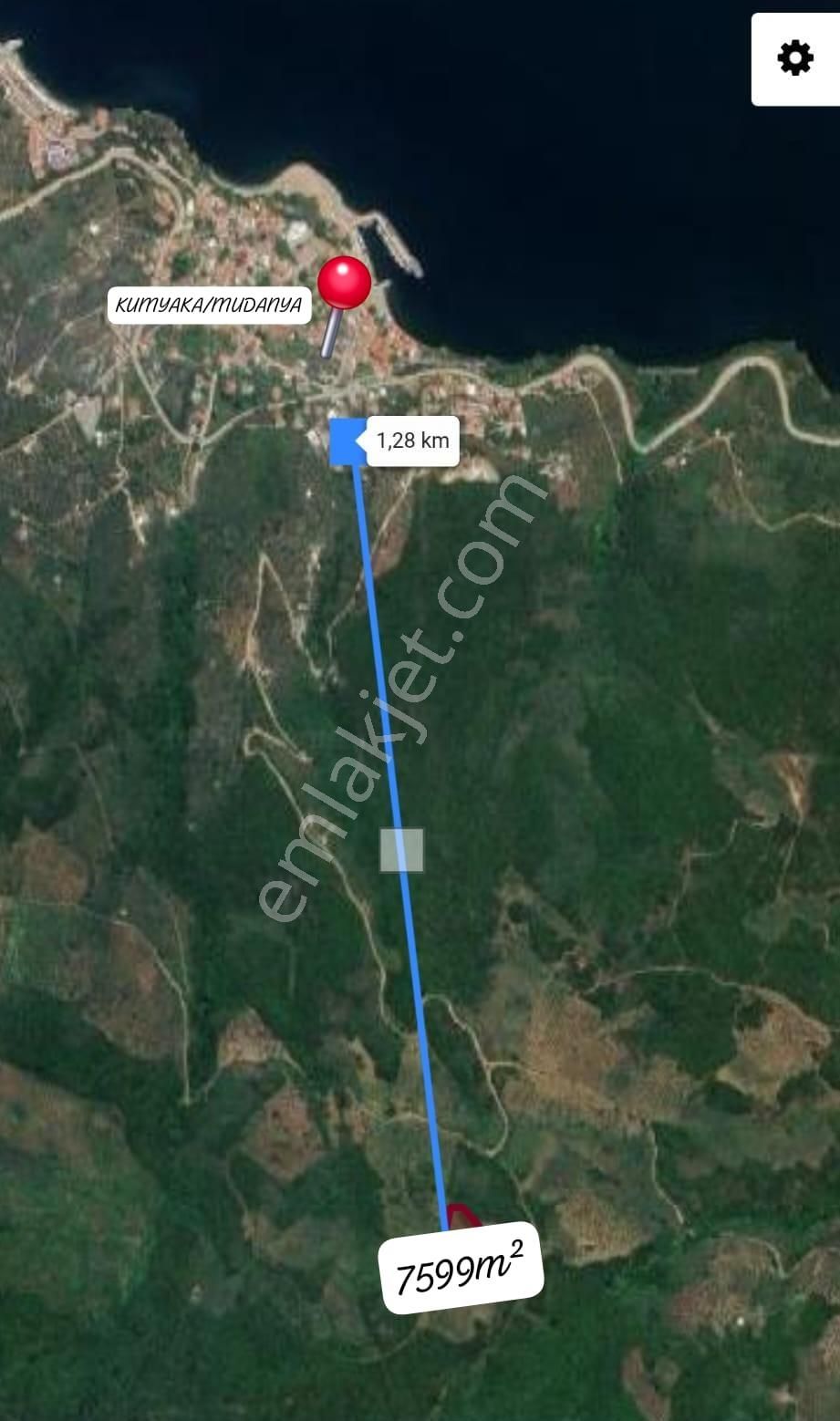 Mudanya, Kumyaka'da Kadastro Yoluna Cephe Yatırımlık Arazi - Görsel 3