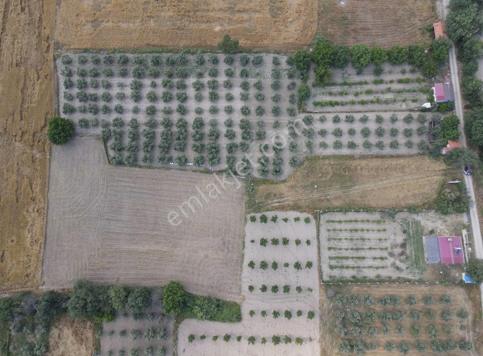 Yeşilyurt Yol Kenarı Satılık Tarla-yatırım Ve Ulaşım Avantajlı!