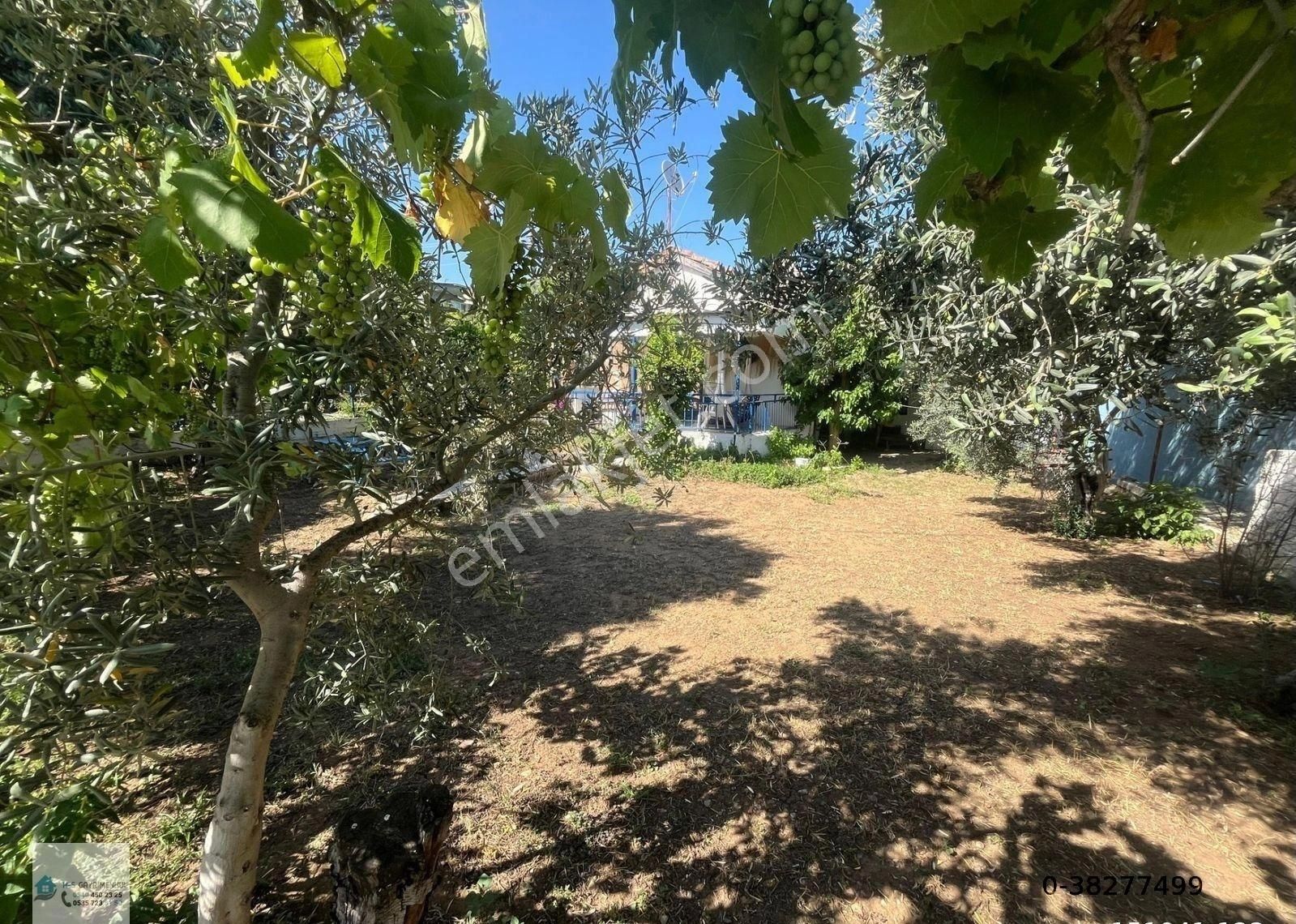 Yeşilköyde 300 M² İmarlı Arsa Üzerinde 2+1 Kayıt Belgeli Ev - Görsel 3