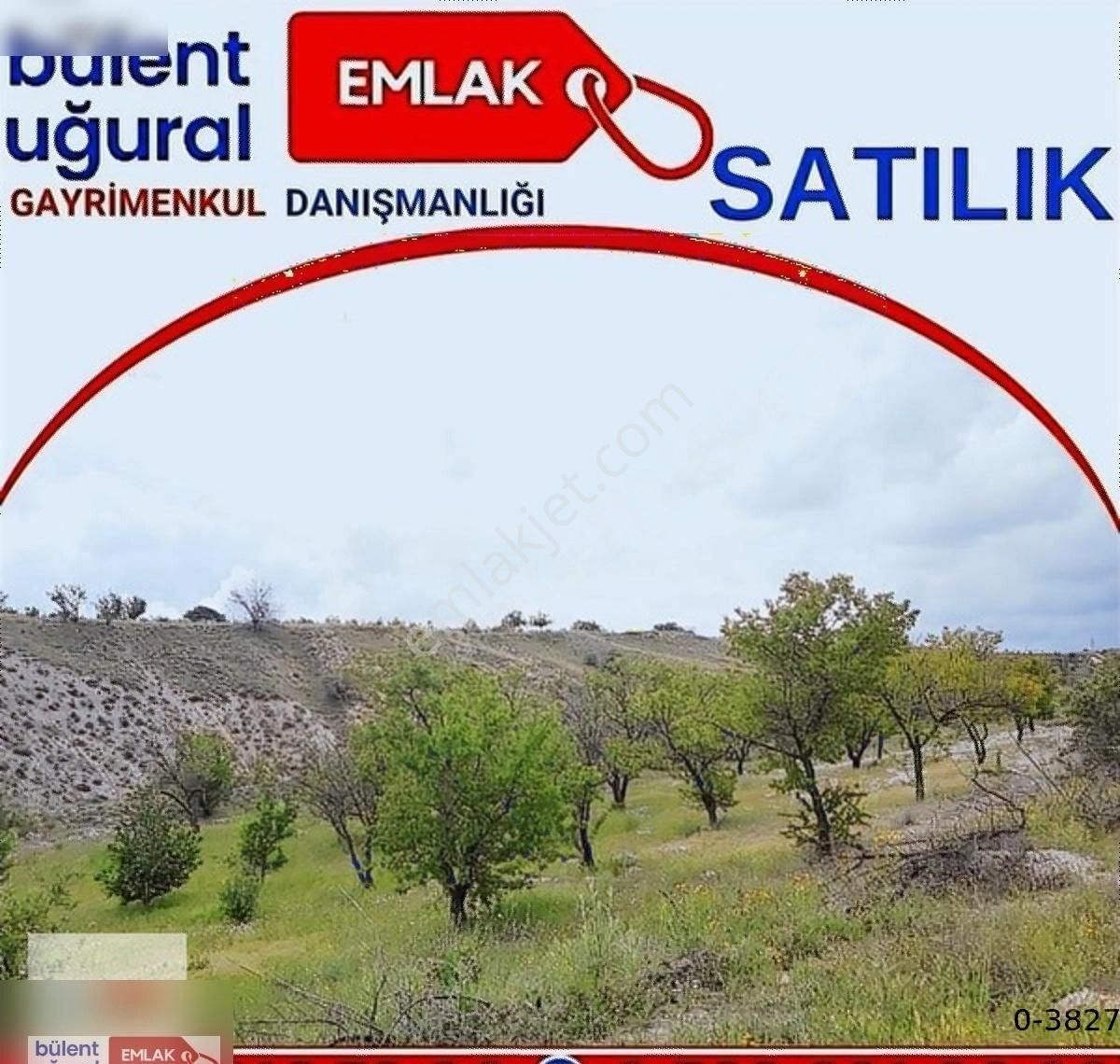 Bülent Uğural Emlak'tan Bu Fiyata Uçhisarda Satılık 1920m2 Tarla