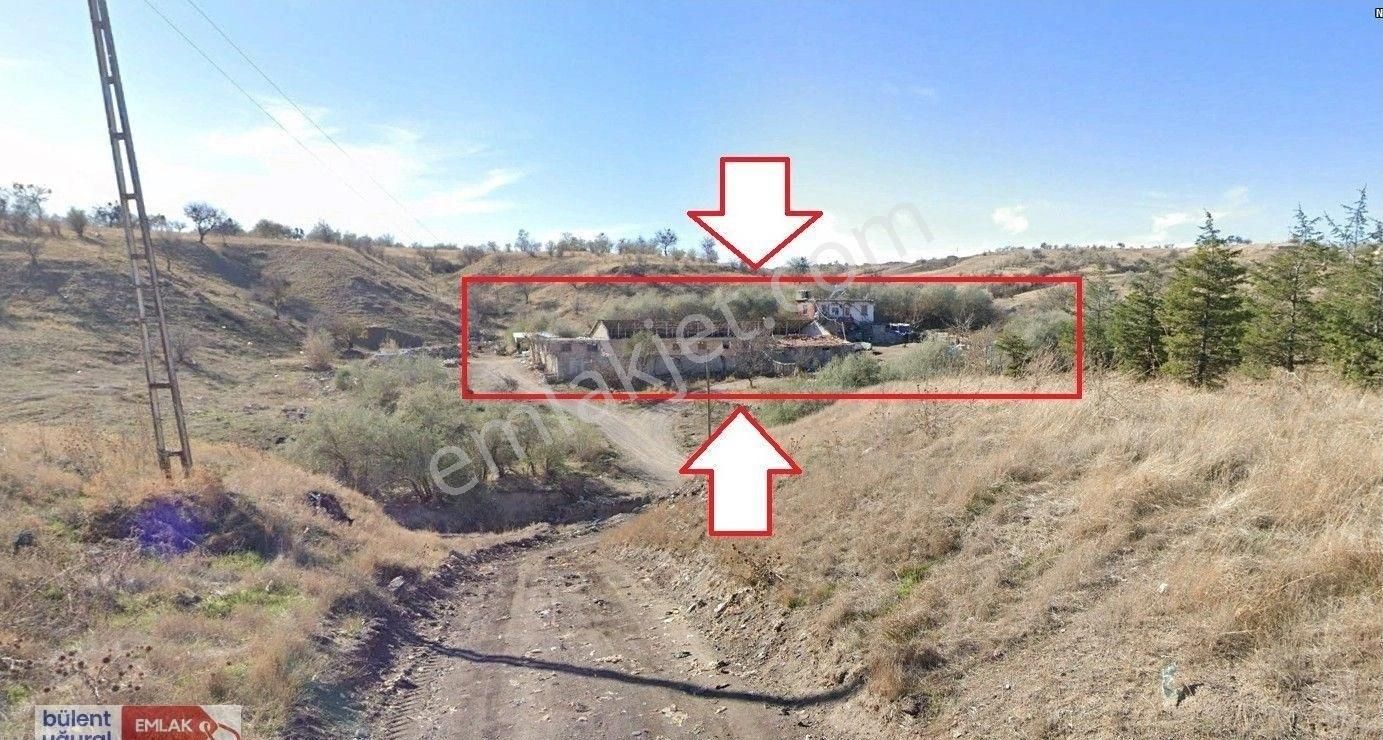 İçinde Bağ Evi Ve Mandırası Olan Satılık Arazi