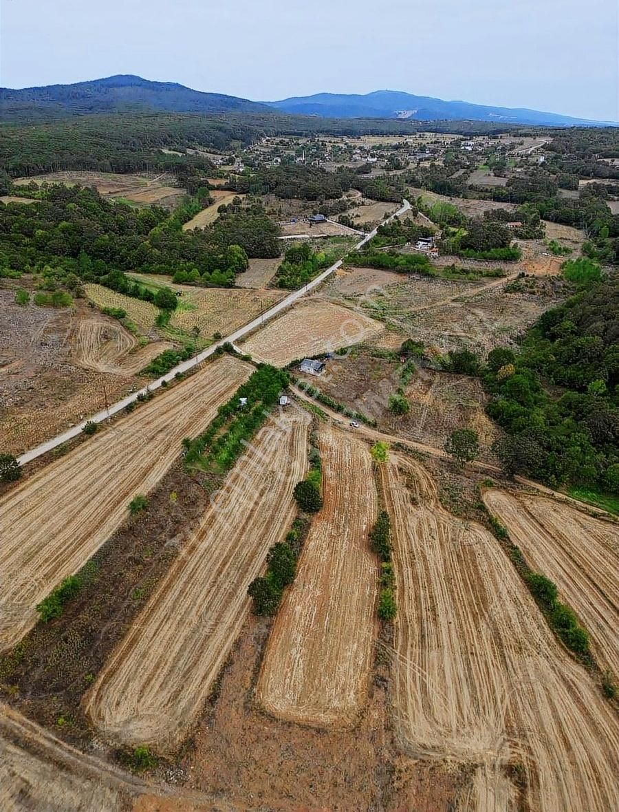 Kırklareli Merkez Beypınar Mahallesinde 279 M2 Tarla