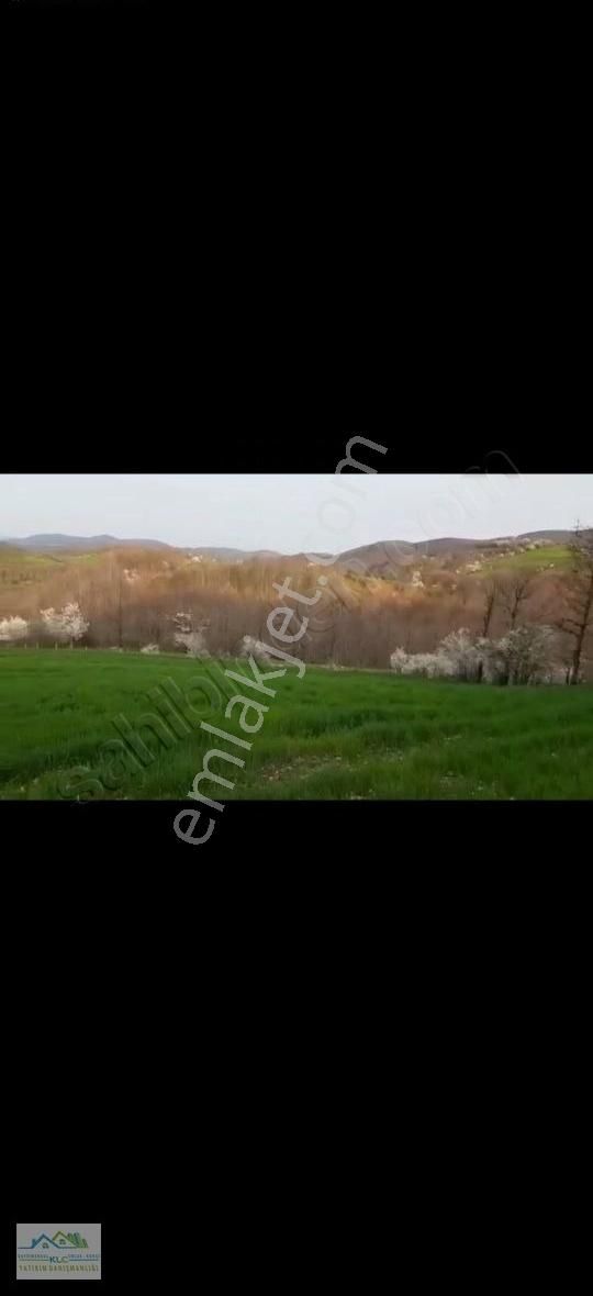 Klc Den Çanakkale Yenice Taban Mahallesinde 22.375 M² Tarla - Görsel 8