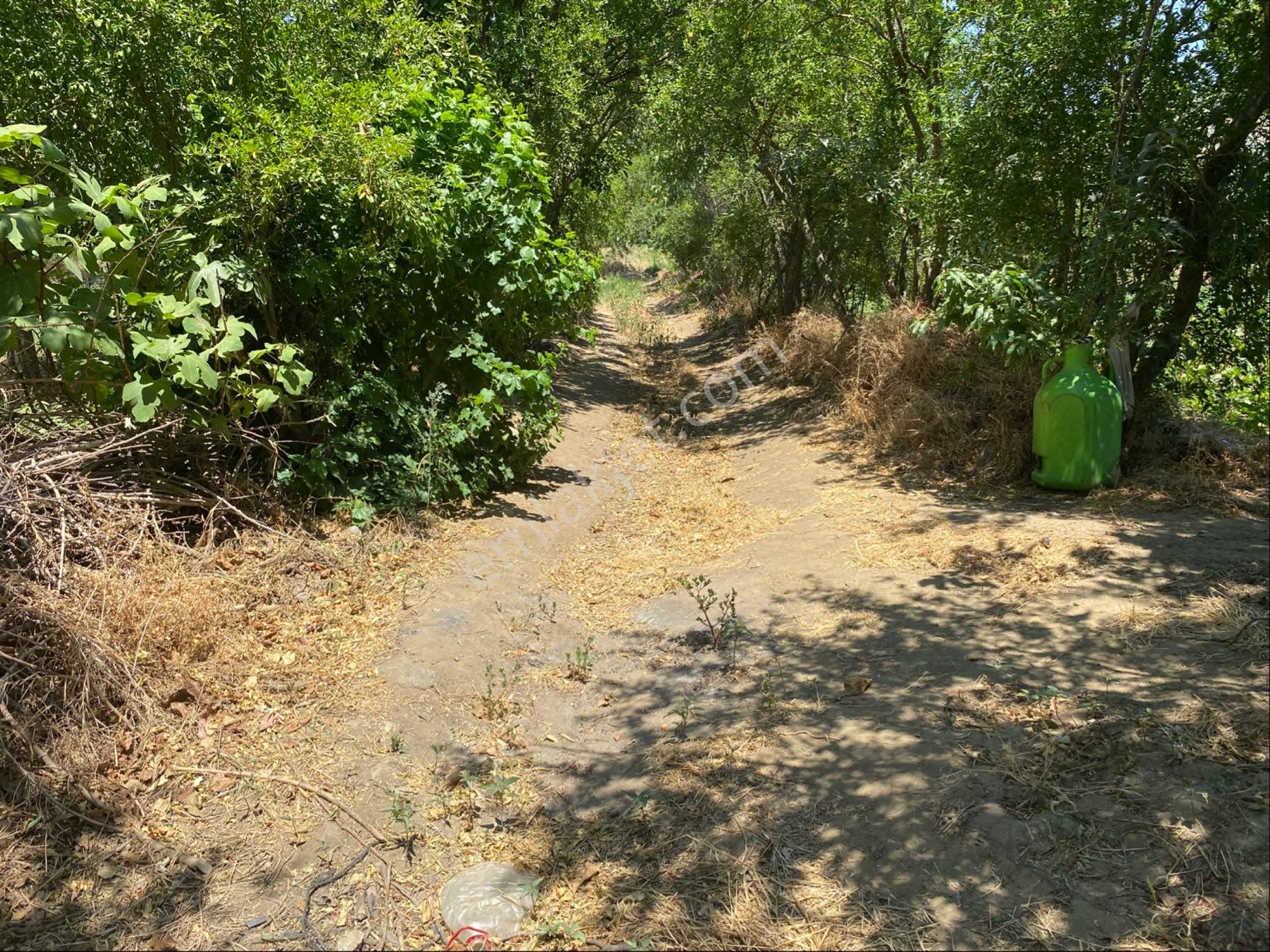 Satılık Bahçe – Zeytinova Mahallesi / Bayındır / İzmir - Görsel 5