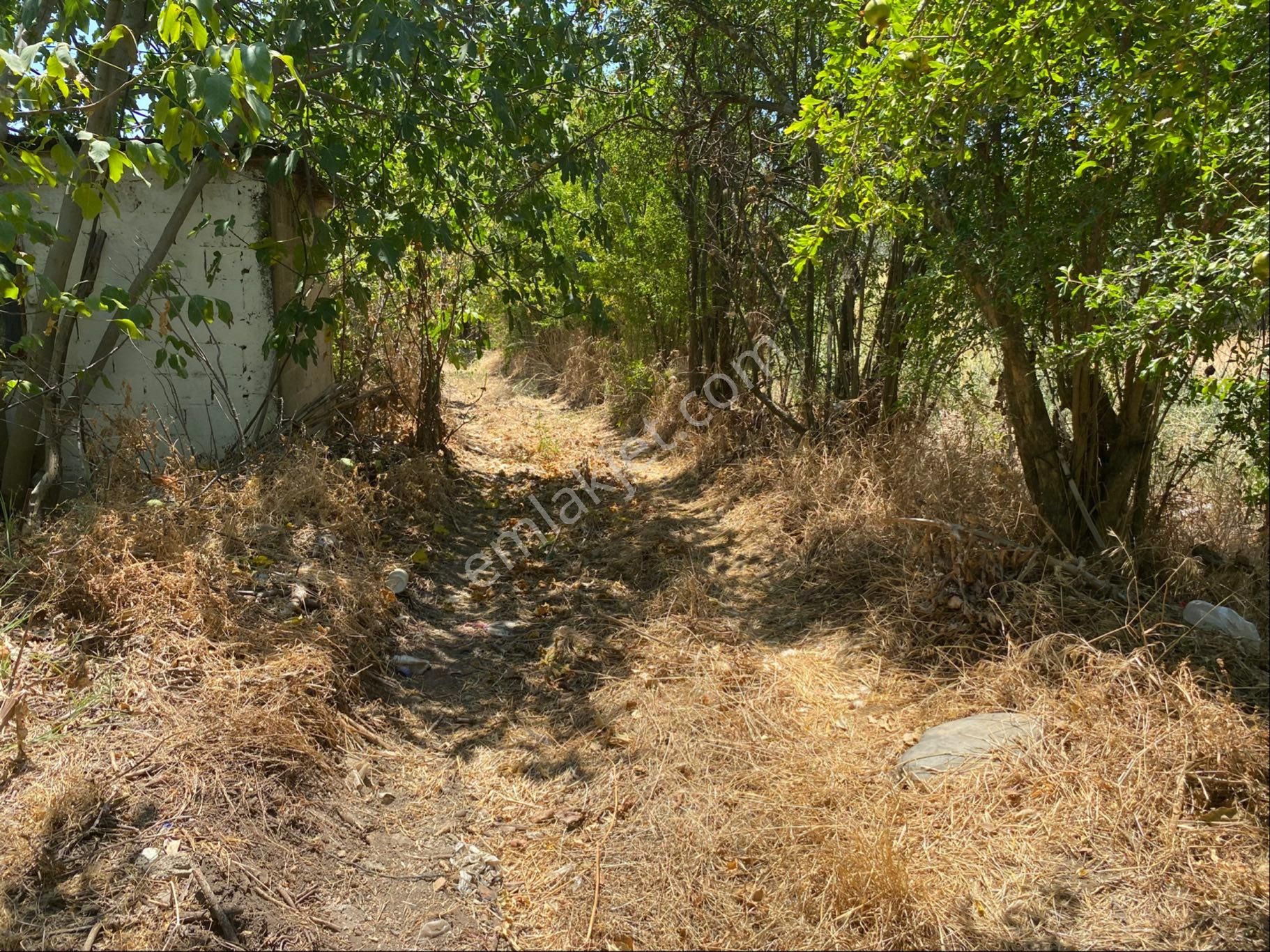 Satılık Bahçe – Zeytinova Mahallesi / Bayındır / İzmir - Görsel 4