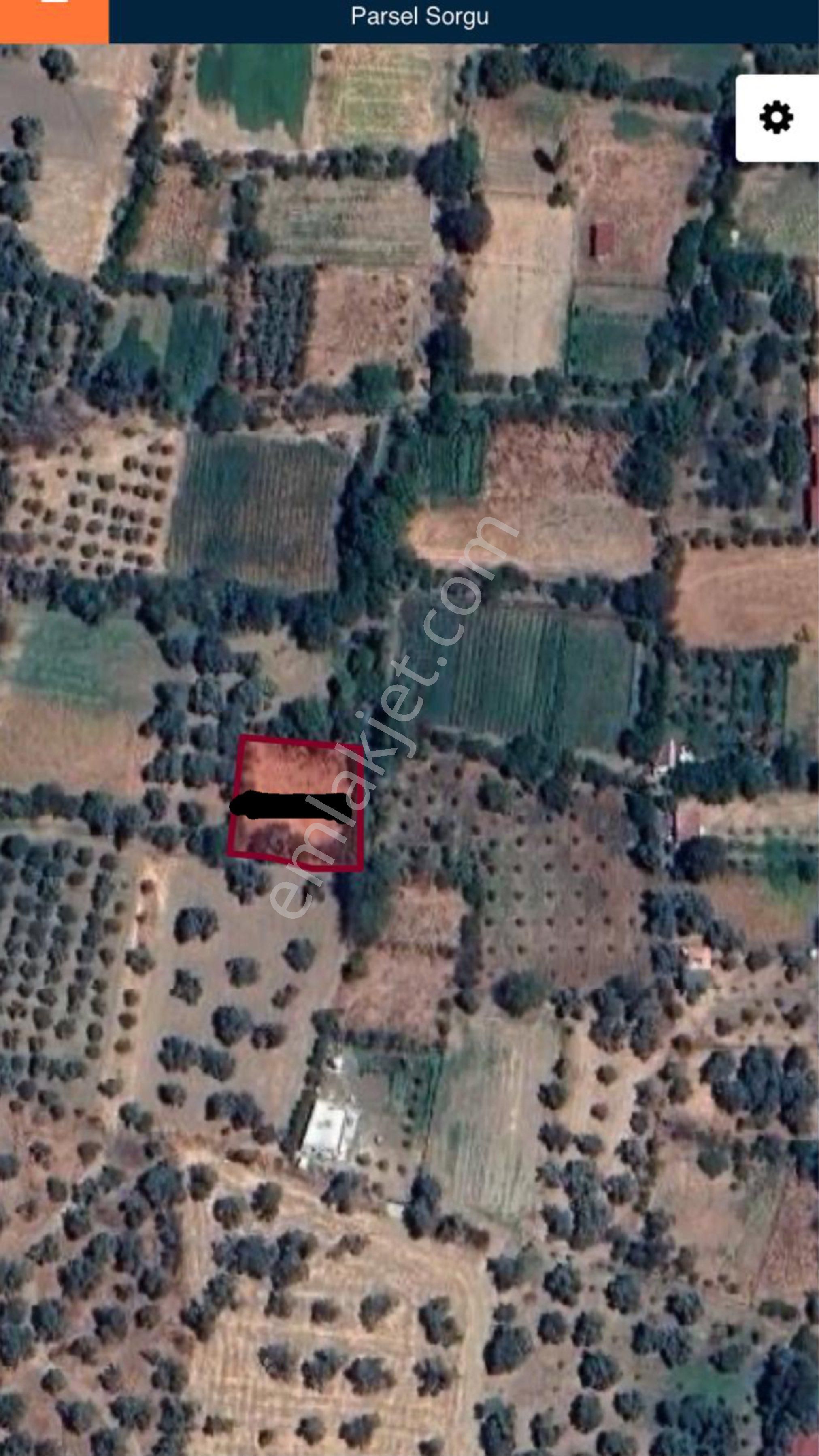 Satılık Bahçe – Zeytinova Mahallesi / Bayındır / İzmir - Görsel 2