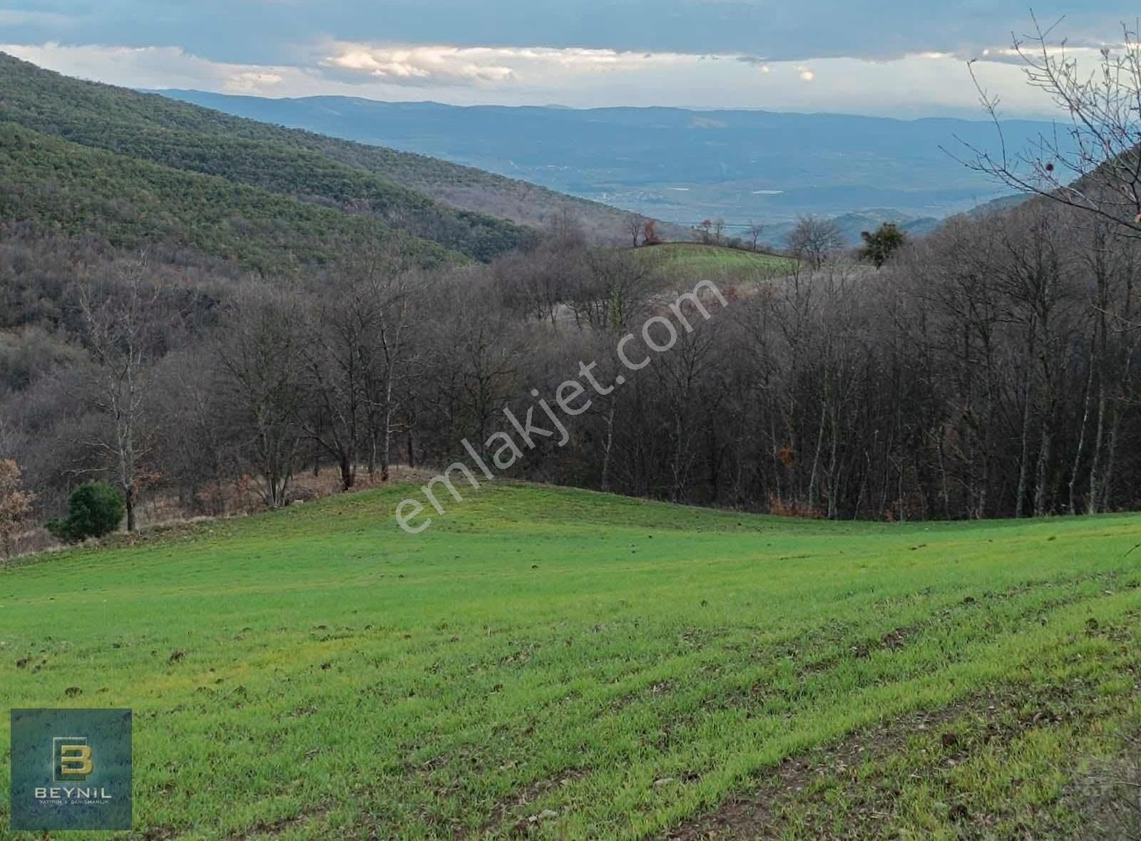 Beynil'den Yenişehir'de Satılık 3200 M2 Tarla