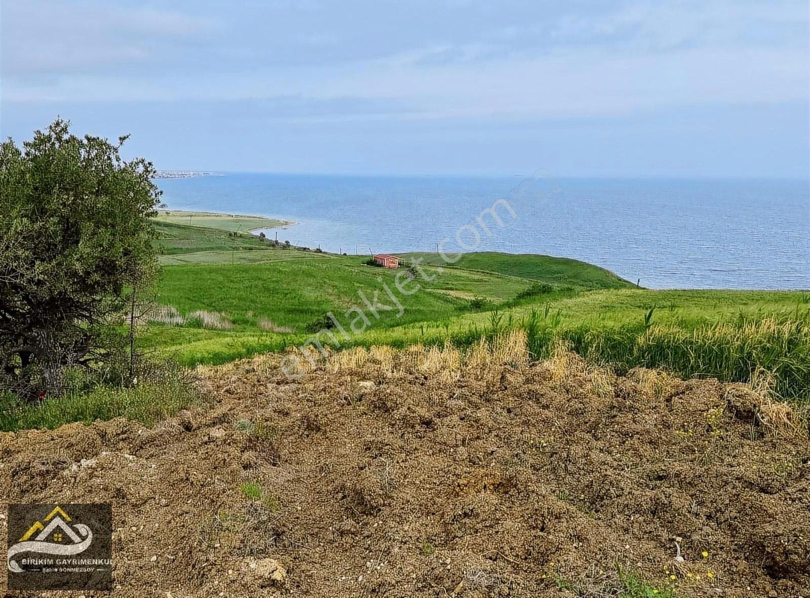 Birikim Gayrimenkulden Deniz Manzaralı 500m2 İmarlı İfrazlı Arsa