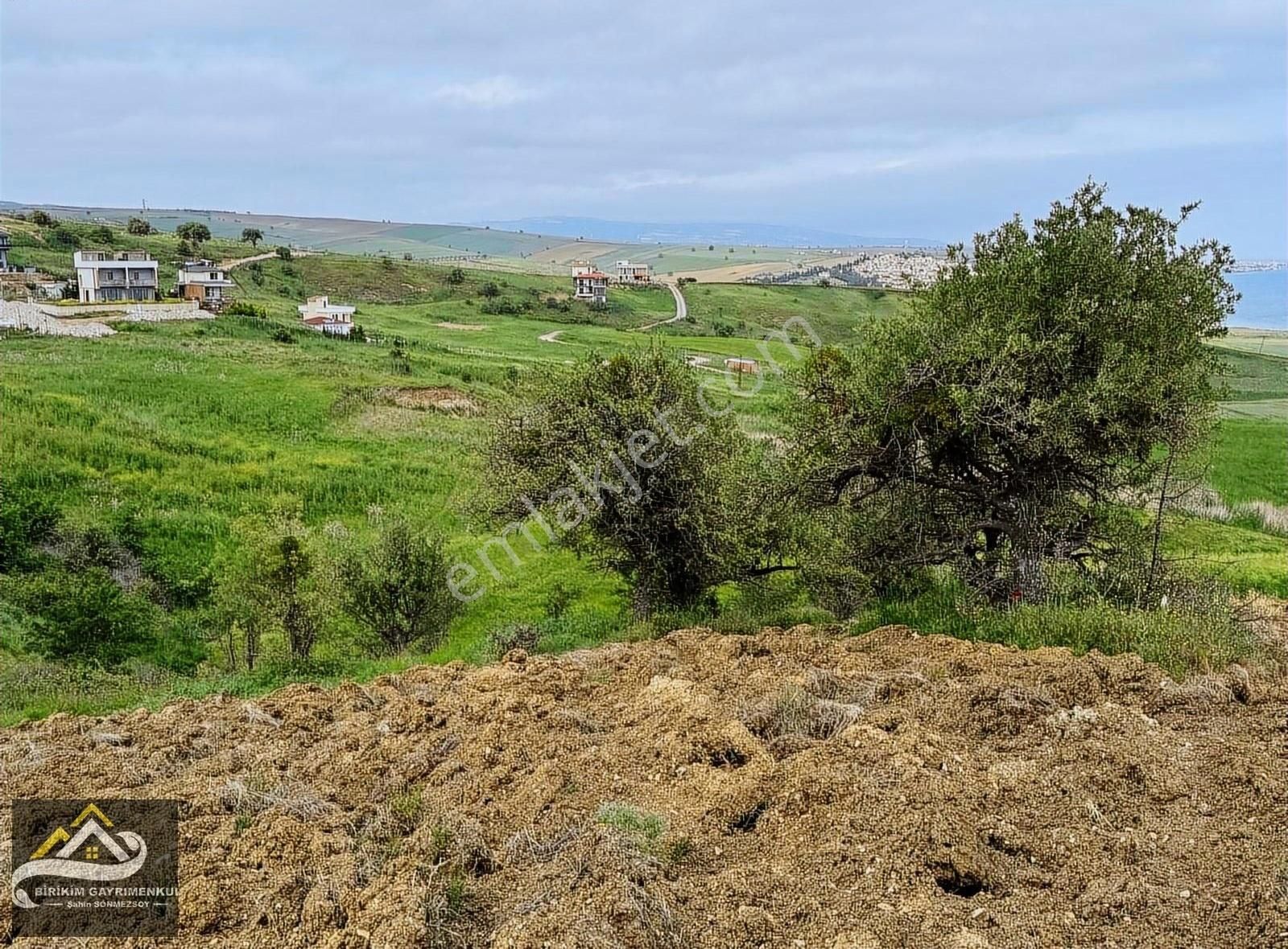 Birikim Gayrimenkulden Deniz Manzaralı 500m2 İmarlı İfrazlı Arsa - Görsel 7